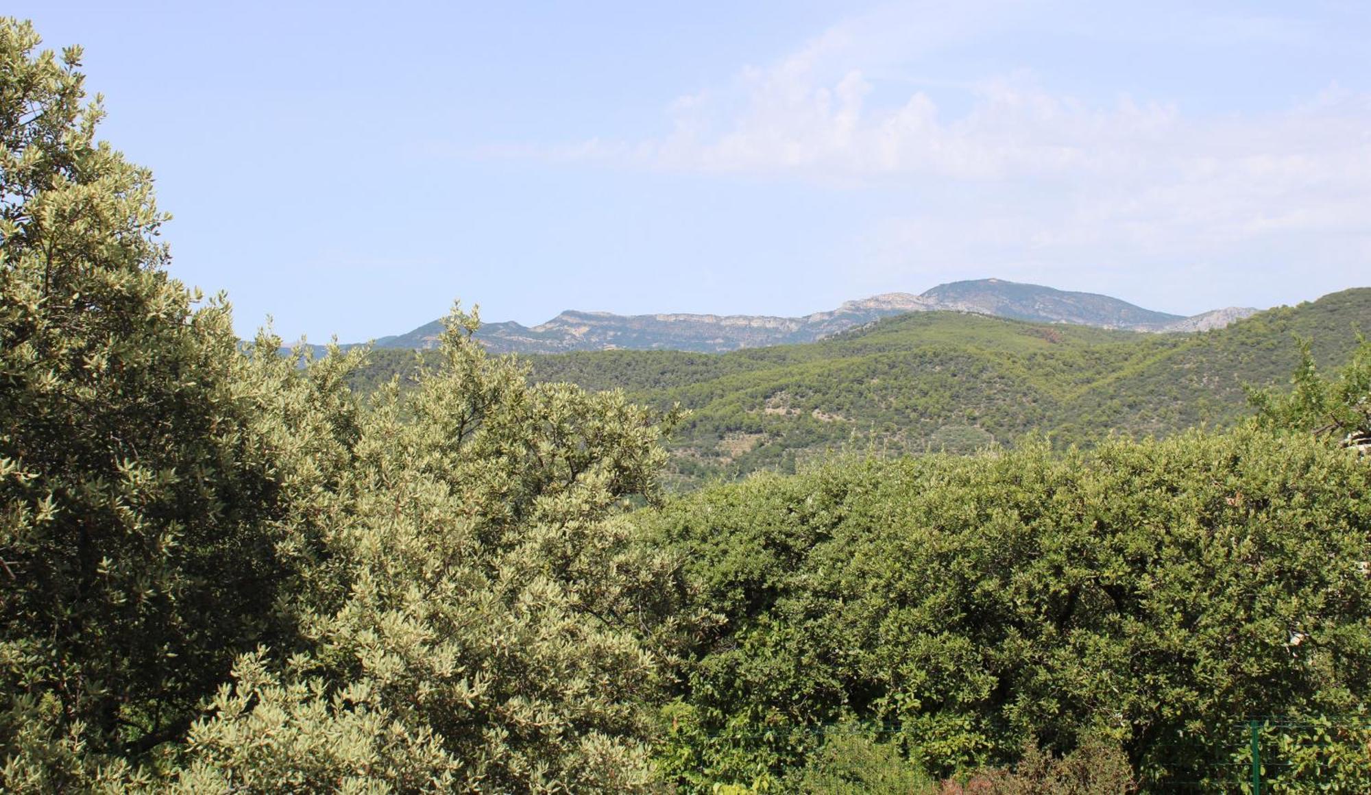 Le Pas Du Ventoux Villa Mollans-sur-Ouvèze Eksteriør billede